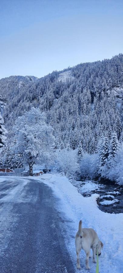 Haus Nani Lägenhet Bad Gastein Exteriör bild